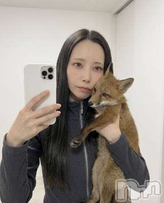 ���ܱ�������Х��顦�����K-LOUNGE(�����饦��) ƣ�� ����(36)��6��29���̥�֥����ֻ��Ƥ���ưʪ��