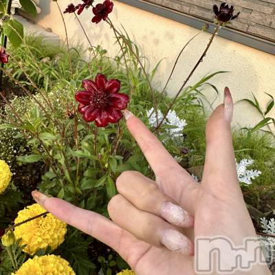 ���ܱ�������Х��顦�����K-LOUNGE(�����饦��) ƣ�� ����(36)��7��17���̥�֥�����🤟��
