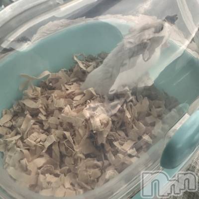 ���ܱ�������Х��顦�����K-LOUNGE(�����饦��) ƣ�� ����(36)��7��20���̥�֥����������Τ������