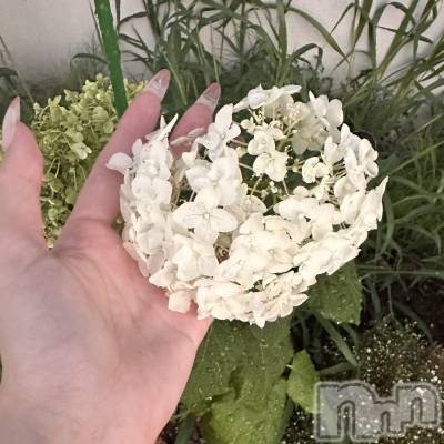 ���ܱ�������Х��顦�����K-LOUNGE(�����饦��) ƣ�� ����(36)��7��24���̥�֥����ֵ��ˤ��ʤ��ǡ�