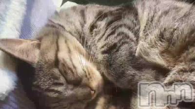 ෆ‪
