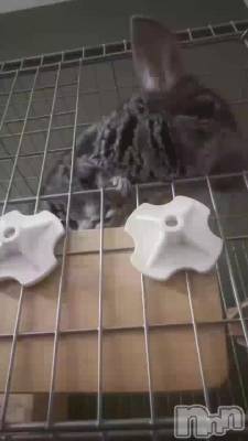 �����Τޤ������