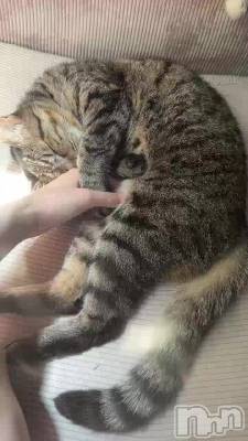 �ҤȤꤴ��