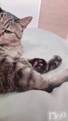 ���Ϥ褦�������ޤ���