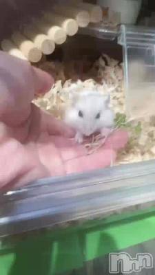 �����Τ����