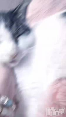 �դΤ줪�ޤĤ�