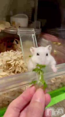 �����Τ����