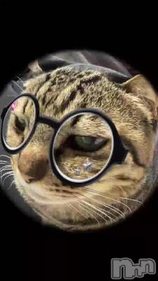 ������줵��