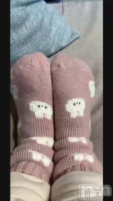 Ź�����Ǥ�