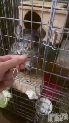 �����Τޤ������