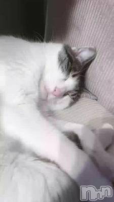 (   ᷄ᾥ ᷅ )