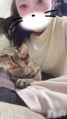 ���鼺��