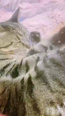 ��ʹ�����뤫�ʡ�