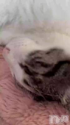 ���Ϥ褦�������ޤ�