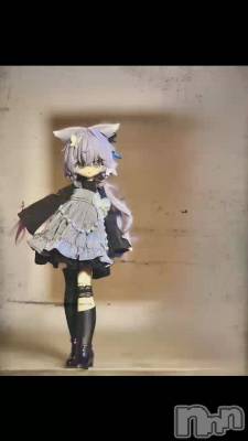 �ⵤ�Ϥ��Ƥ��ޤ���