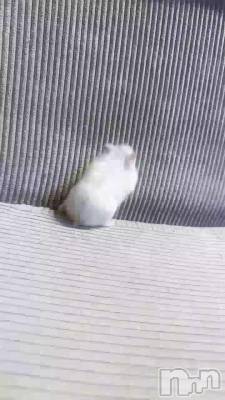 �����Τ����