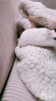 �ҤȤꤴ��