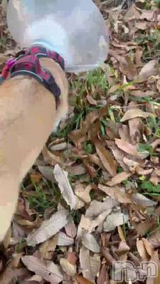 �ϥ��ƥ󥷥��