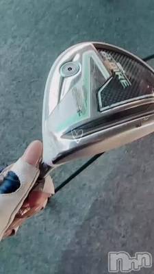 ï������