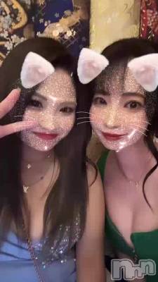 122 2116ʬư