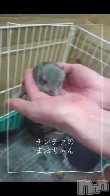 3��23�� 04��17ʬ��ư��