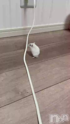 �ȤäȤ�����