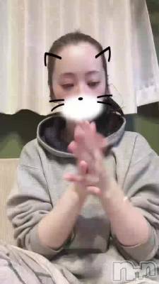 ����������������