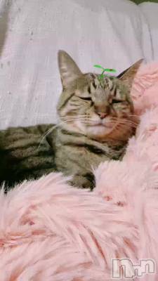 �ҤȤꤴ��