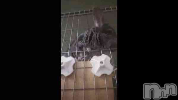 �ֺ����Τޤ�������