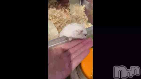 �֤Ϥ���ơ�