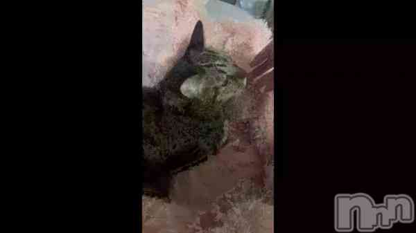 �֡�����