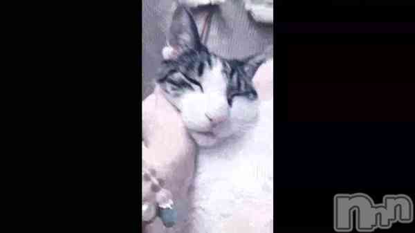 �ֽդΤ줪�ޤĤ��