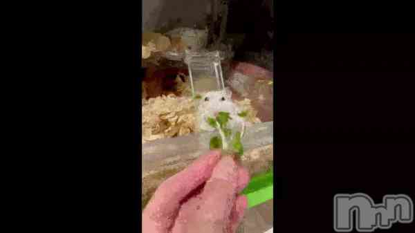 �ֺ����Τ������