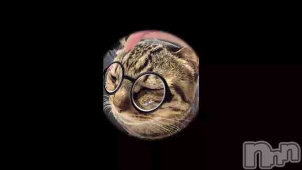 �֤�����줵�󡪡�