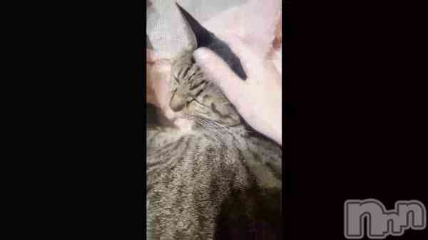 �ִŤ��Ƥ��