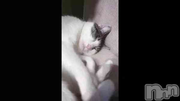 ��(   ᷄ᾥ ᷅ )��