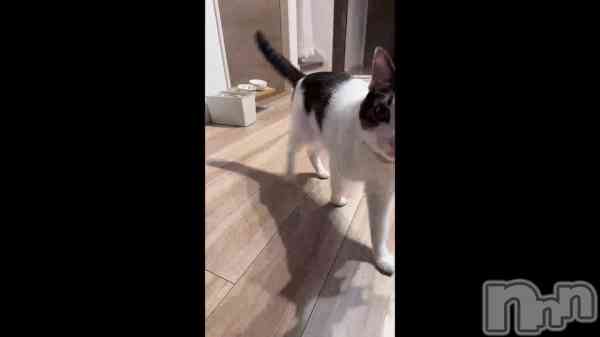 �֤���󡪡�