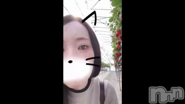 ���餱�ʤ��������ߤ�����