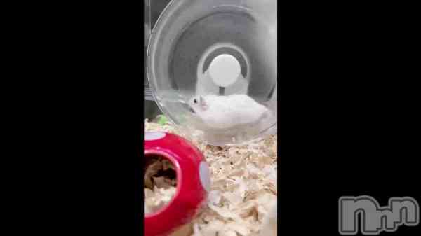 �ֺ����Τ������