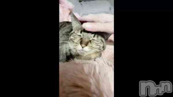 ��Ϸ����