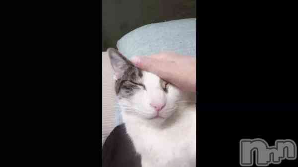 ���Ԥ���