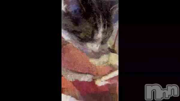 �֥ܥ��ܥ���