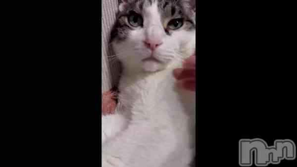 �ִŤ��Ƥ����