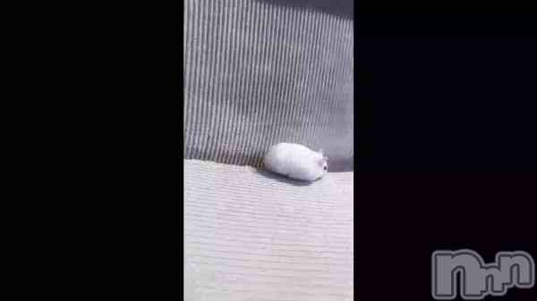 �ֺ����Τ������