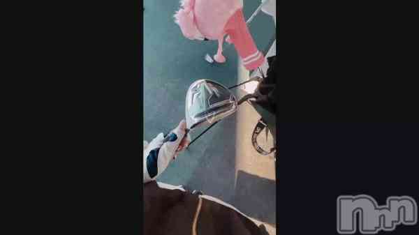 ��ï��������