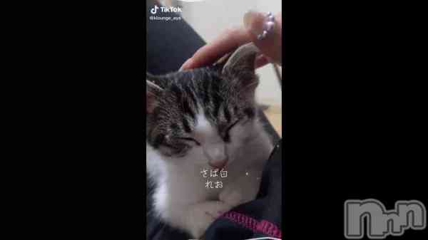 ��3��17�� 16��17ʬ��ư���