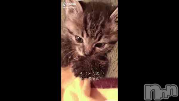 ��3��17�� 16��17ʬ��ư���