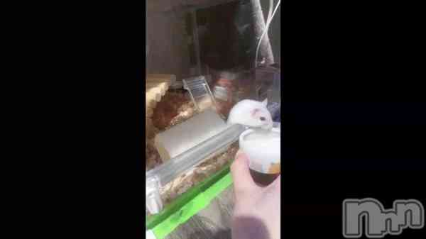 �ֺ����Τ������