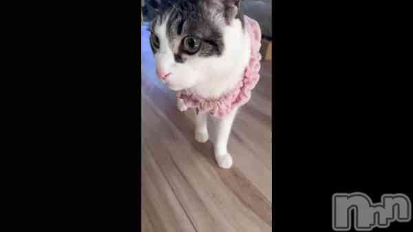 �֤����ơ�