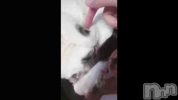 �֤��ˤ���